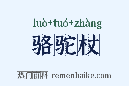 骆驼杖是什么意思的图片